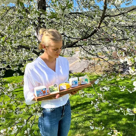 Borgerstue Ξενοδοχείο 3*