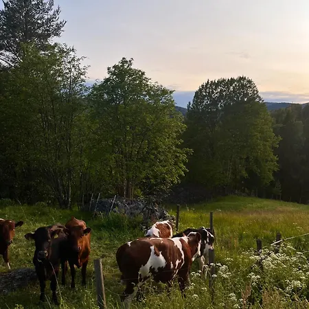 Ξενοδοχείο Borgerstue Eggedal