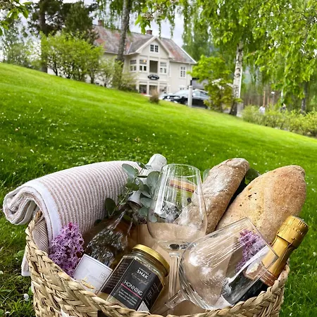 Ξενοδοχείο Borgerstue 3*