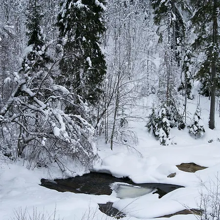 Ξενοδοχείο Borgerstue