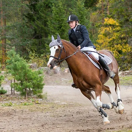 Borgerstue 3* Eggedal