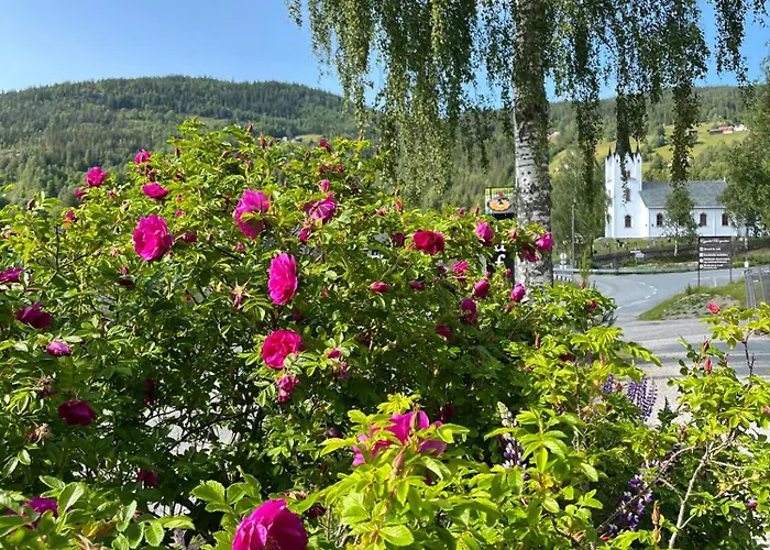 Borgerstue 3* Eggedal