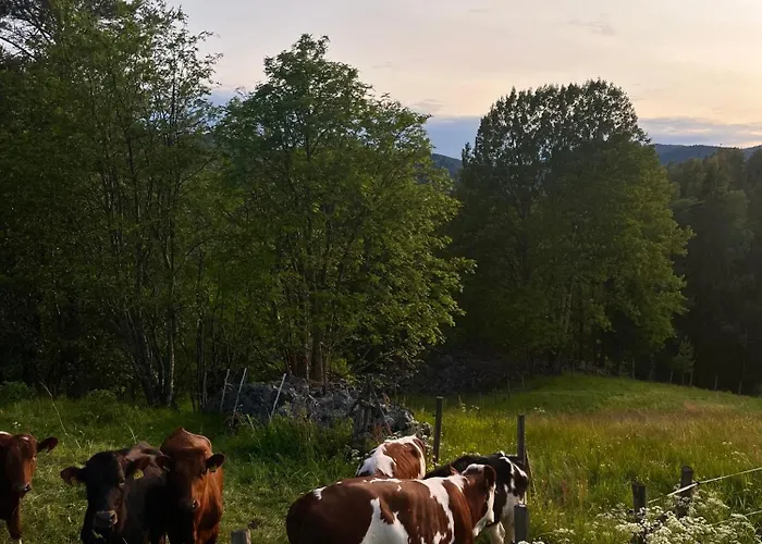 Hotel Borgerstue Eggedal